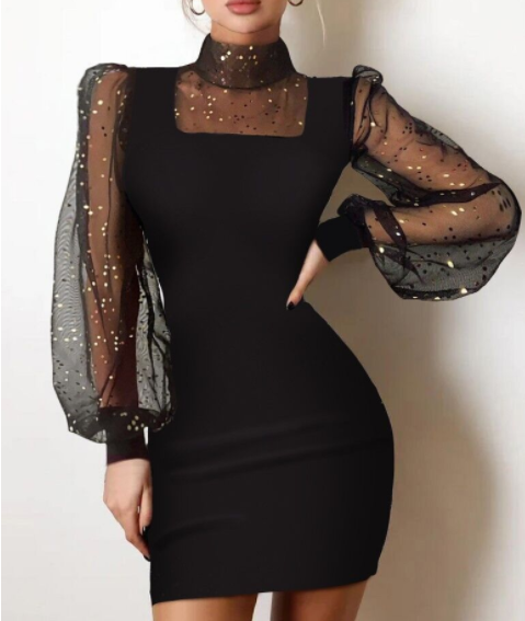 Women's Mesh Long Sleeve Knit Dress