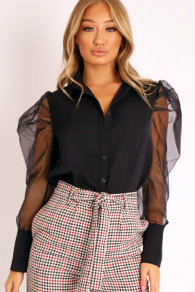 Puff Sleeve Long Sleeve Sheer Blouse for Women 