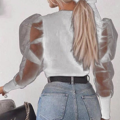 Puff Sleeve Long Sleeve Sheer Blouse